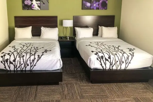 Oda, 2 Büyük (Queen) Boy Yatak, Sigara İçilmez, Şehir Manzaralı