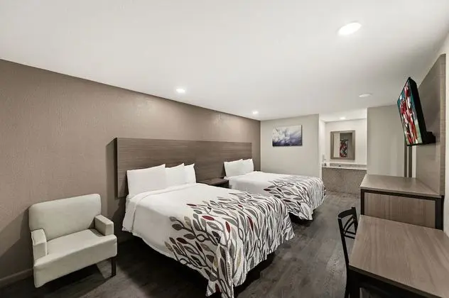 Deluxe Oda, 2 Çift Kişilik Yatak, Sigara İçilebilir