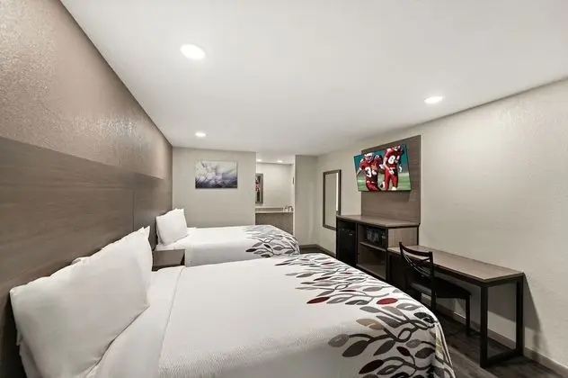 Deluxe Oda, 2 Çift Kişilik Yatak, Sigara İçilebilir