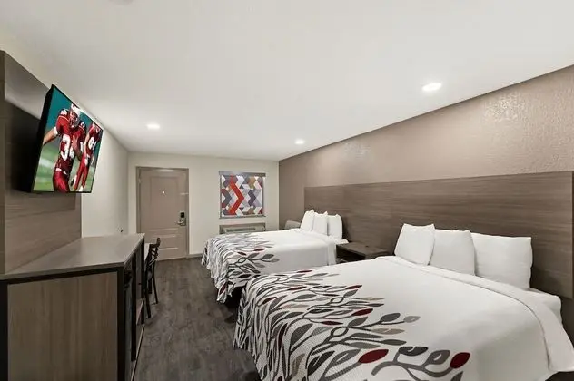 Deluxe Oda, 2 Çift Kişilik Yatak, Sigara İçilebilir