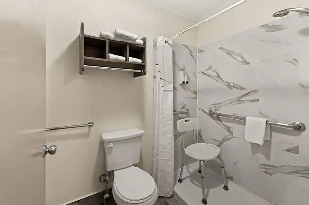 Superior Oda, 1 En Büyük (King) Boy Yatak, Engellilere Uygun, Sigara İçilmez (Roll-In Shower)