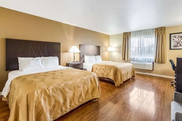 Oda, Birden Çok Yatak, Sigara İçilmez (Pet Friendly)