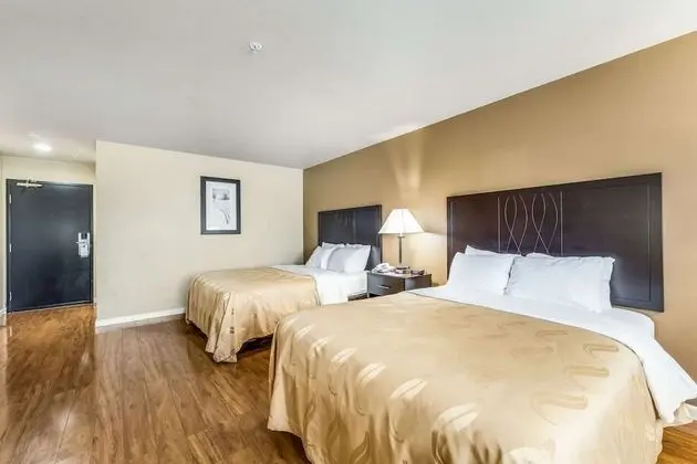 Oda, Birden Çok Yatak, Sigara İçilmez (Pet Friendly)