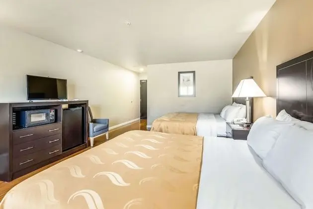Oda, Birden Çok Yatak, Sigara İçilmez (Pet Friendly)