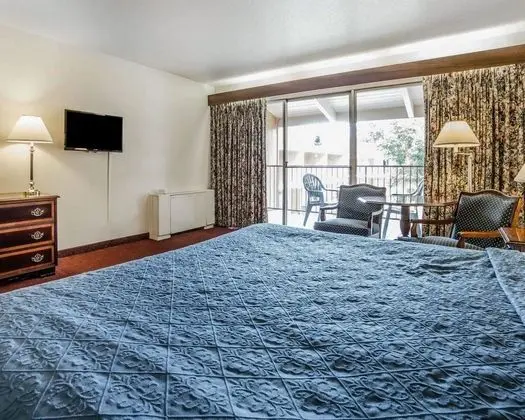 Standard Oda, 1 En Büyük (King) Boy Yatak, Sigara İçilmez, Balkon