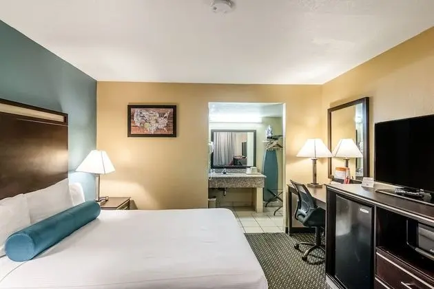 1 King Bed