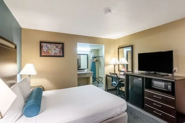 1 King Bed