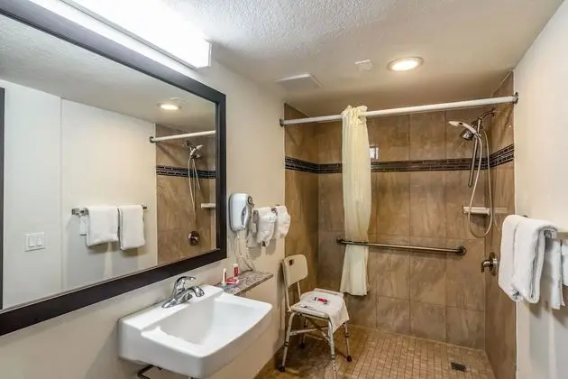 Handicap accessible 1 king bed