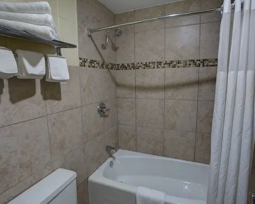 Standard Oda, 1 En Büyük (King) Boy Yatak, Sigara İçilmez (Bathtub Only)