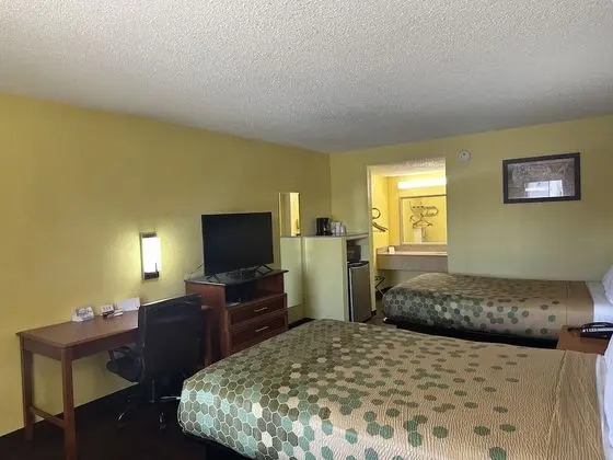 Standard Tek Büyük Yataklı Oda, 2 Çift Kişilik Yatak, Sigara İçilebilir