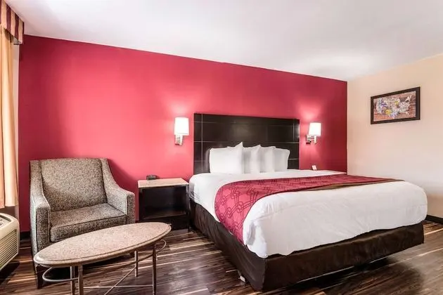 Oda, 1 En Büyük (King) Boy Yatak, Engellilere Uygun, Sigara İçilmez