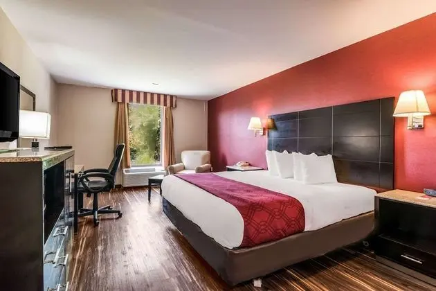 Standard Oda, 1 En Büyük (King) Boy Yatak, Sigara İçilmez