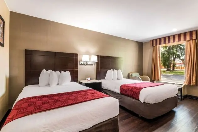 Standard Tek Büyük Yataklı Oda, 2 Çift Kişilik Yatak, Sigara İçilmez