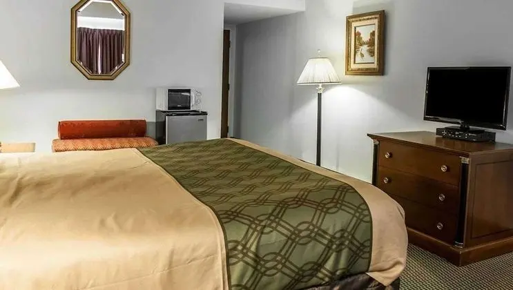 Standard Oda, 1 En Büyük (King) Boy Yatak, Sigara İçilmez, Buzdolabı ve Mikrodalga