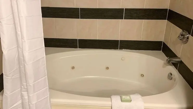 Standard Süit, 2 Çift Kişilik Yatak, Sigara İçilmez, Buzdolabı ve Mikrodalga