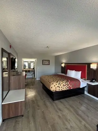 Oda
