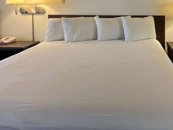 Standard Oda, 1 En Büyük (King) Boy Yatak, Sigara İçilmez