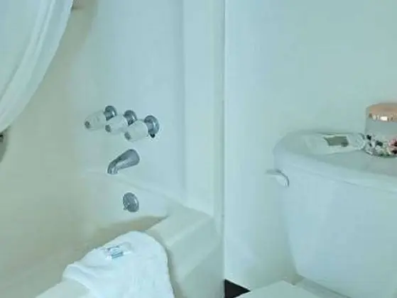 Standard Oda, 1 En Büyük (King) Boy Yatak, Sigara İçilmez