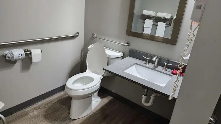 Standard Oda, 1 En Büyük (King) Boy Yatak, Engellilere Uygun, Buzdolabı ve Mikrodalga