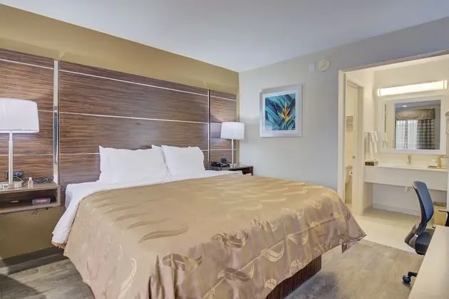 Standard Oda, 1 En Büyük (King) Boy Yatak, Sigara İçilmez