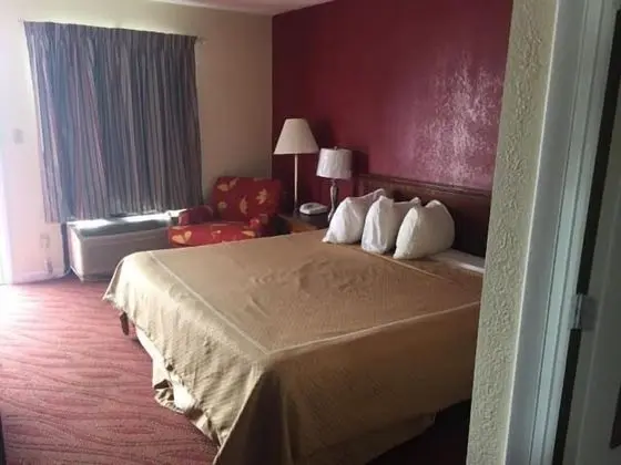 Standard Oda, 1 En Büyük (King) Boy Yatak, Sigara İçilebilir