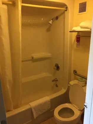 Standard Tek Büyük Yataklı Oda, 2 Çift Kişilik Yatak, Sigara İçilmez