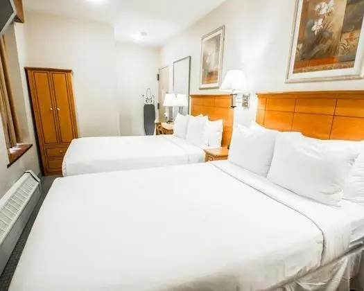 Deluxe Oda, 2 Çift Kişilik Yatak, Sigara İçilmez