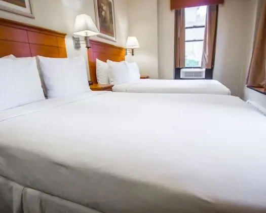 Deluxe Oda, 2 Çift Kişilik Yatak, Sigara İçilmez
