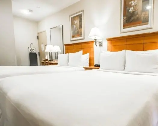 Deluxe Oda, 2 Çift Kişilik Yatak, Sigara İçilmez