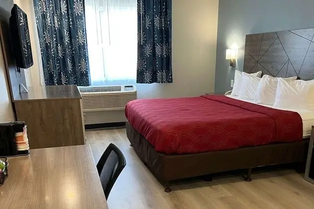 Oda, 1 En Büyük (King) Boy Yatak, Engellilere Uygun