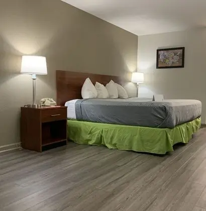 Oda, 1 En Büyük (King) Boy Yatak, Engellilere Uygun, Sigara İçilmez