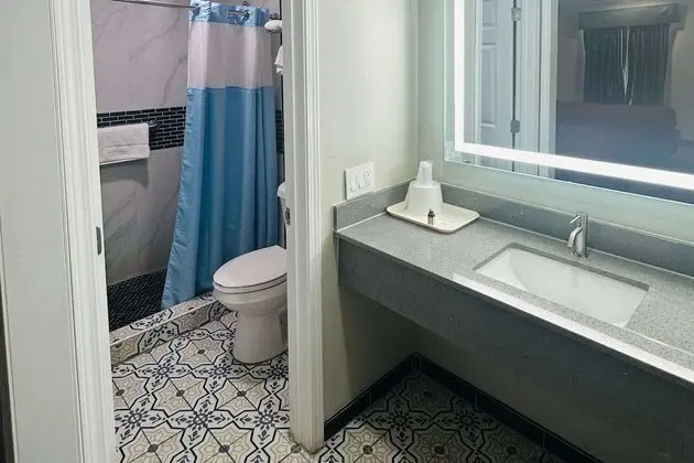 Standard Tek Büyük Yataklı Oda, 2 Çift Kişilik Yatak, Sigara İçilebilir
