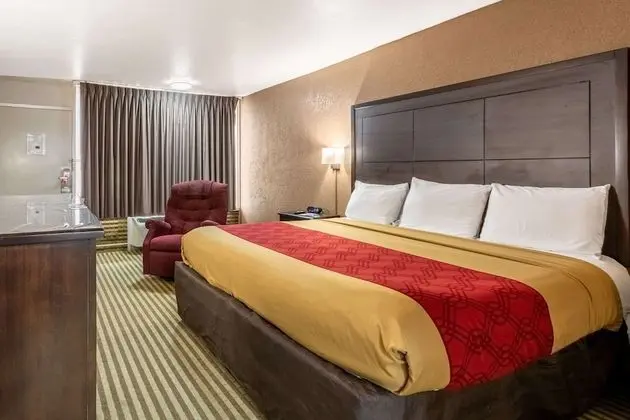 Standard Oda, 1 En Büyük (King) Boy Yatak, Sigara İçilmez