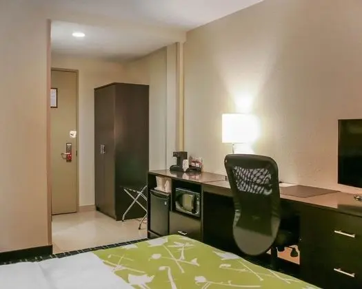 Standard Oda, 1 En Büyük (King) Boy Yatak ve Çekyat, Sigara İçilmez (1 Person Sofa Bed)