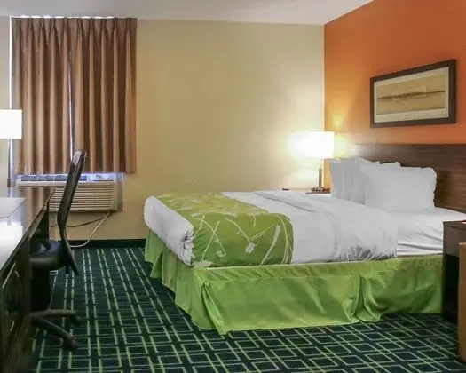 Standard Oda, 1 En Büyük (King) Boy Yatak ve Çekyat, Sigara İçilmez (1 Person Sofa Bed)