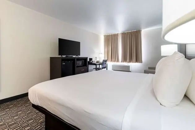 Standard Oda, 1 En Büyük (King) Boy Yatak, Sigara İçilmez