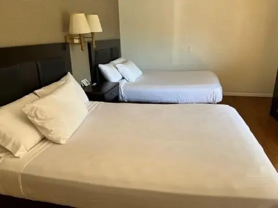 Basic Tek Büyük Yataklı Oda