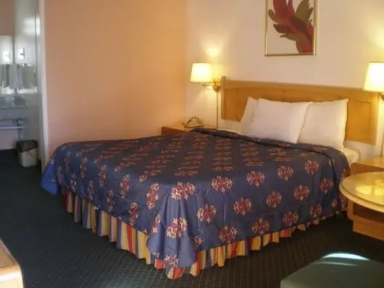 Standard Oda, 1 En Büyük (King) Boy Yatak, Sigara İçilmez