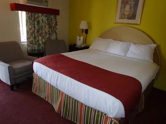 Standard Oda, 1 En Büyük (King) Boy Yatak, Sigara İçilebilir