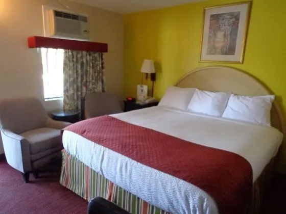 Standard Oda, 1 En Büyük (King) Boy Yatak, Sigara İçilmez