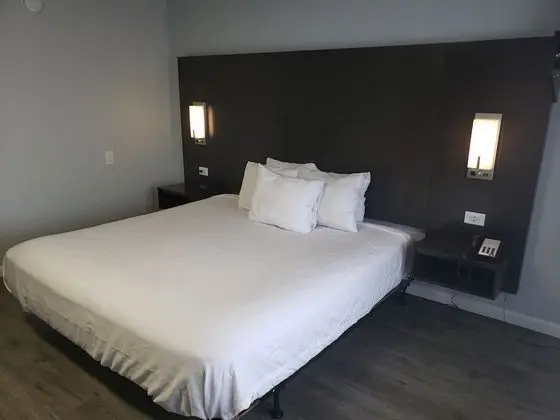 Exclusive Oda, 1 En Büyük (King) Boy Yatak, Sigara İçilmez