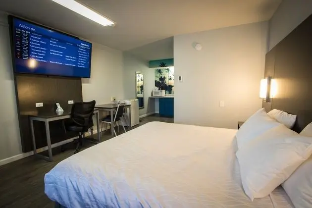 Exclusive Oda, 1 En Büyük (King) Boy Yatak, Sigara İçilmez