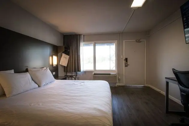 Exclusive Oda, 1 En Büyük (King) Boy Yatak, Sigara İçilmez