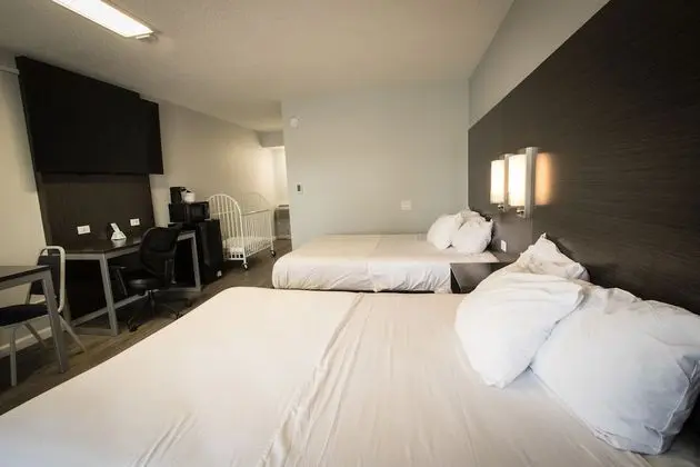 Exclusive Oda, 2 Büyük (Queen) Boy Yatak, Engellilere Uygun, Sigara İçilmez