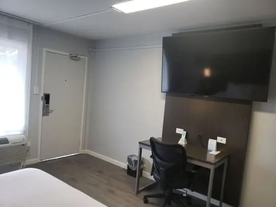 Exclusive Oda, 2 Büyük (Queen) Boy Yatak, Engellilere Uygun, Sigara İçilmez