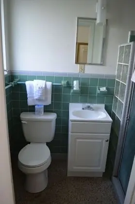 Deluxe Oda, 1 Çift Kişilik Yatak, Sigara İçilebilir