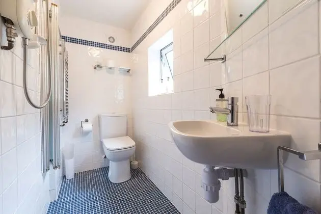Standard Tek Büyük veya İki Ayrı Yataklı Oda, Özel Banyo (no dogs)