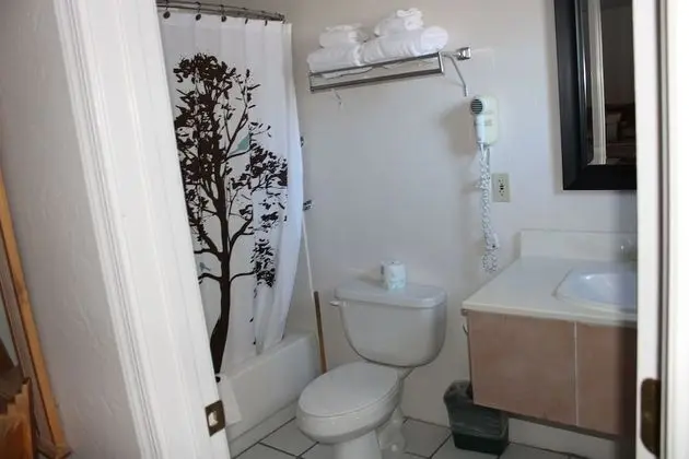 Room 201, Puma Room, King Bed