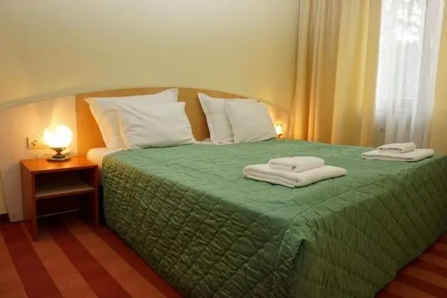 Tek Büyük veya İki Ayrı Yataklı Oda (1 adult & 1 child)