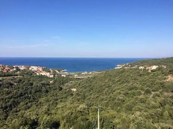Deluxe İki Ayrı Yataklı Oda, Deniz Manzaralı